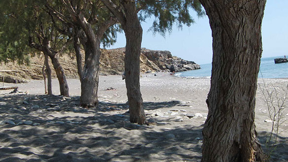 Tag 7 Palmenstrand
